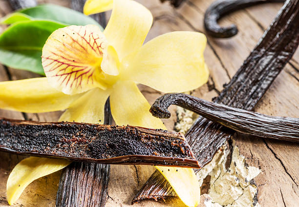 ABOUT US Vanilla